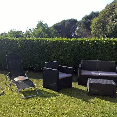 Apartmani Martincic Novigrad Istria Exteriör bild
