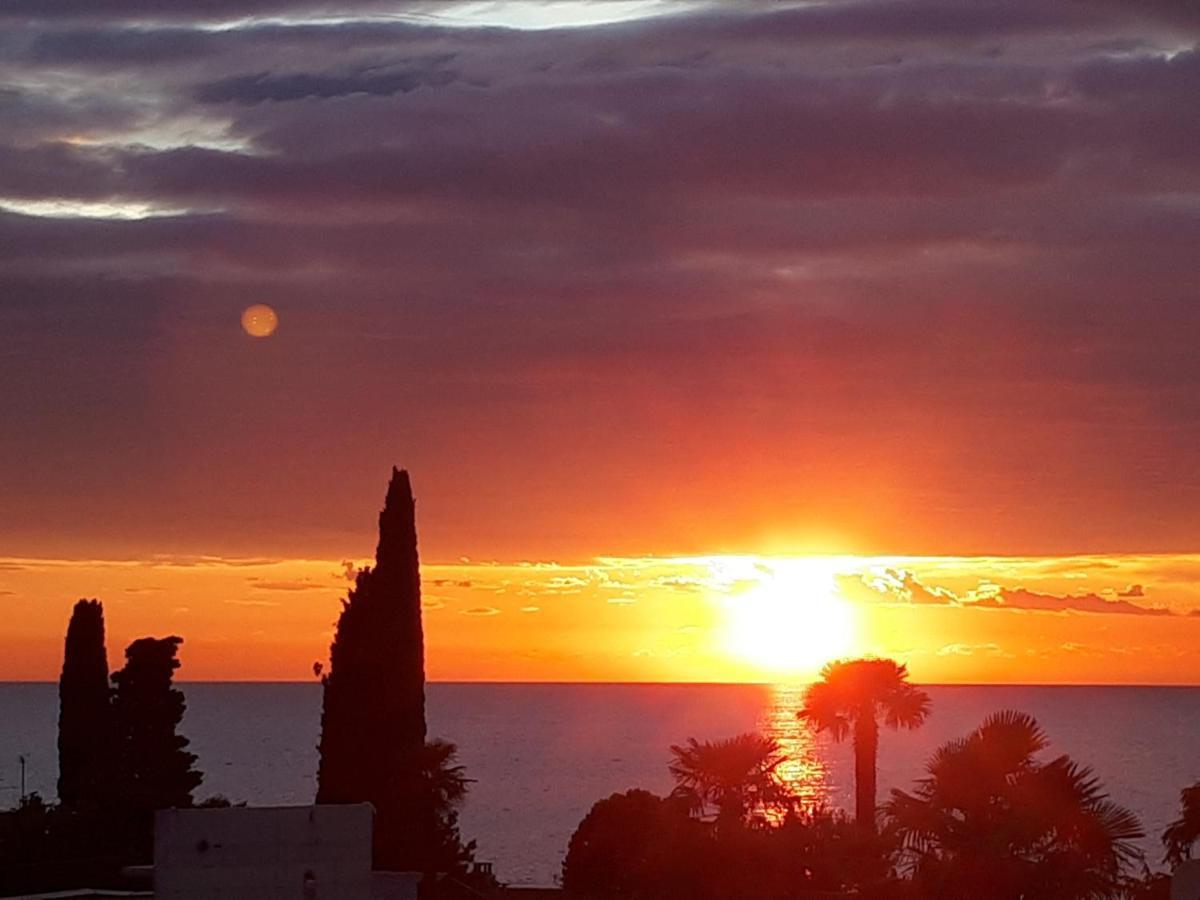 Apartmani Martincic Novigrad Istria Exteriör bild