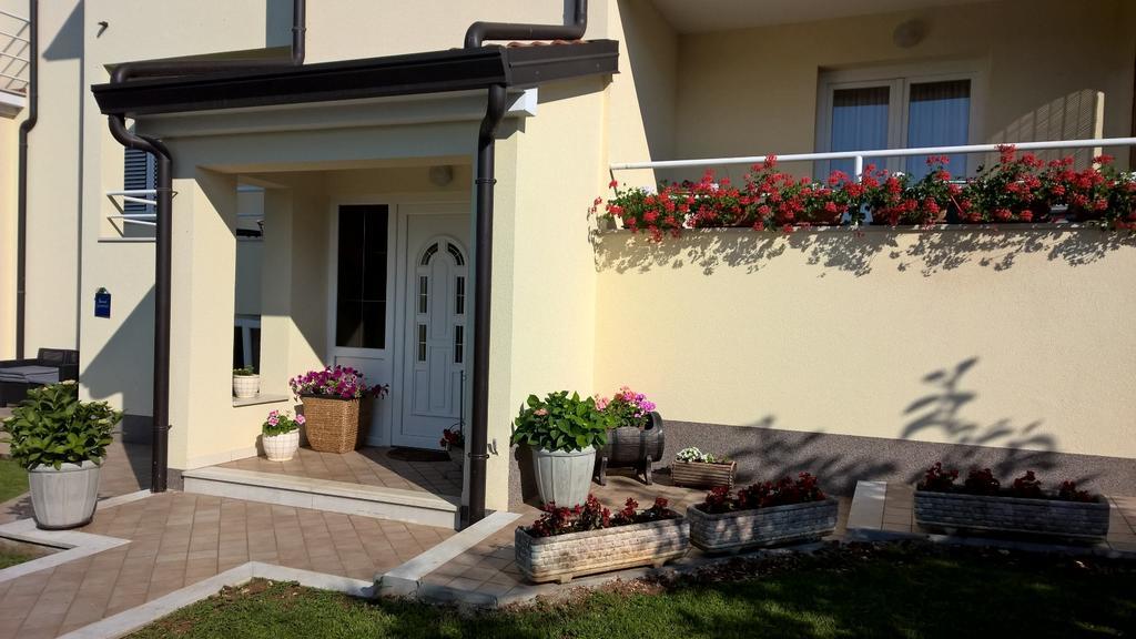 Apartmani Martincic Novigrad Istria Exteriör bild