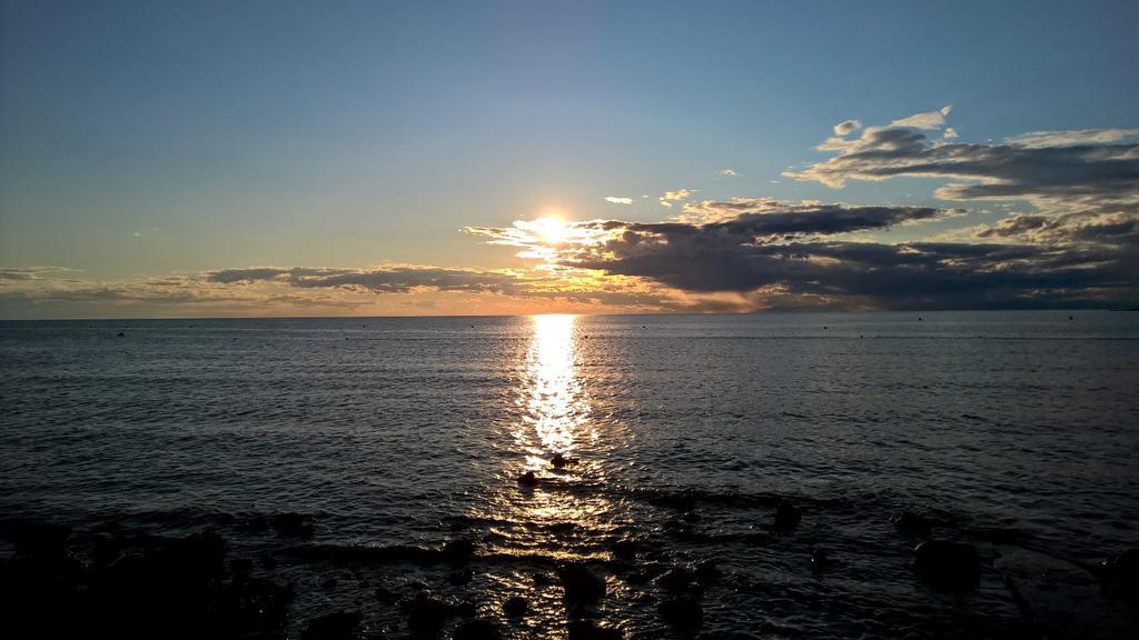 Apartmani Martincic Novigrad Istria Exteriör bild