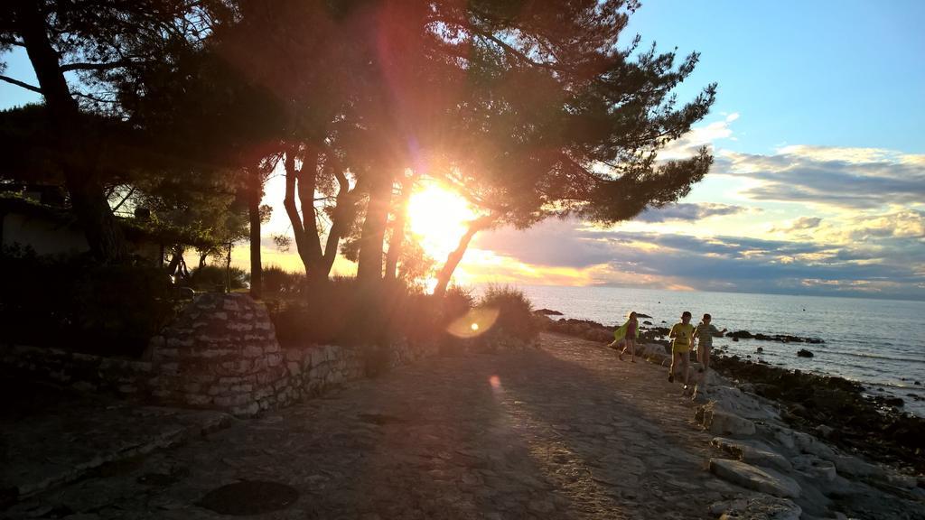 Apartmani Martincic Novigrad Istria Exteriör bild