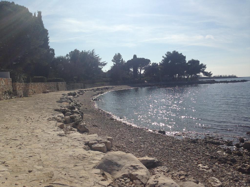 Apartmani Martincic Novigrad Istria Exteriör bild